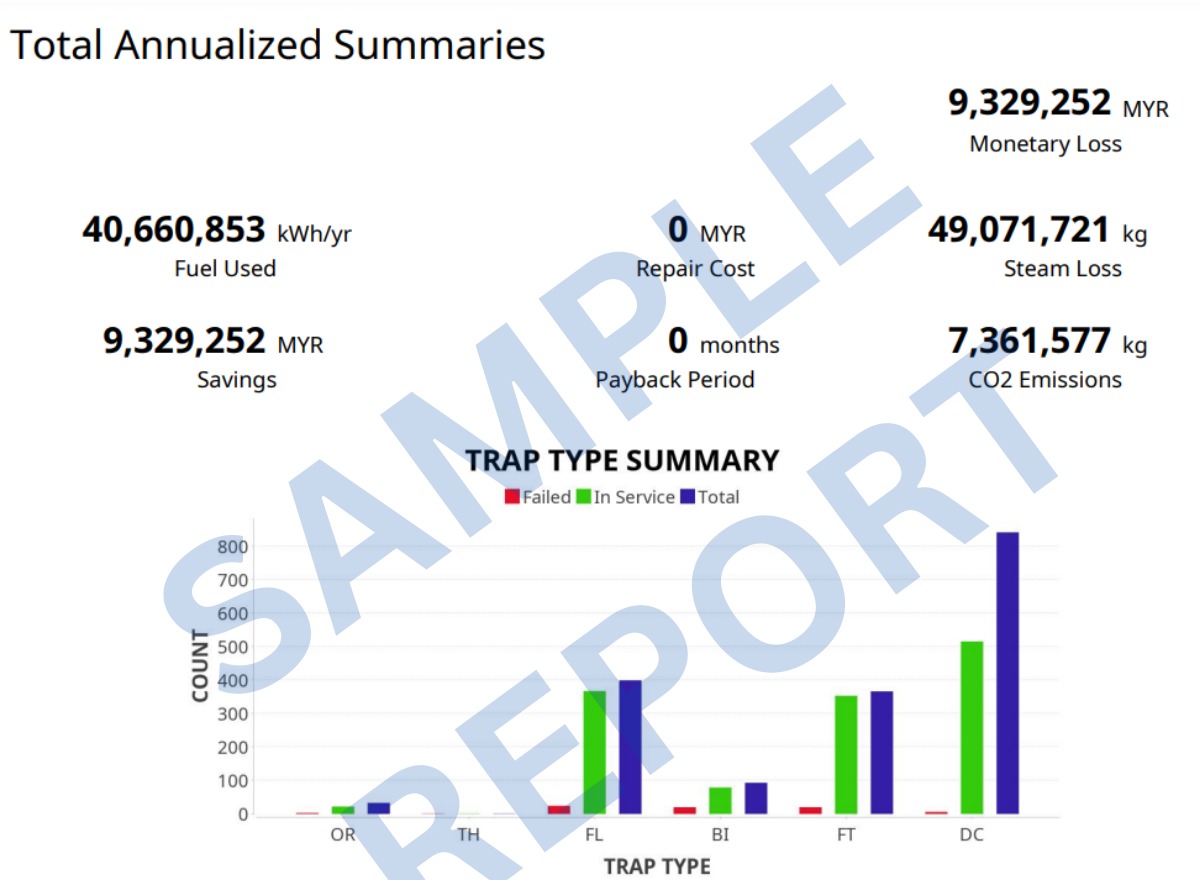 Steam Loss Assessment